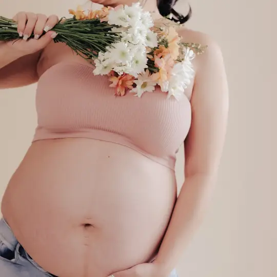 maternity photographer hinsdale il video studio jimenez