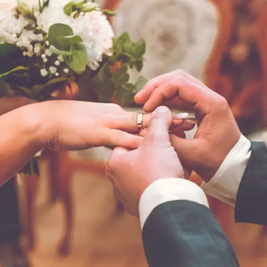 passport photos villa park il video studio jimenez