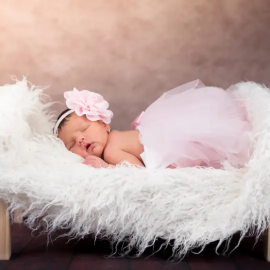 photo studio highland park il video studio jimenez
