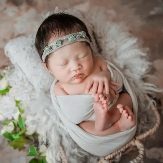 Cook County IL Photographers