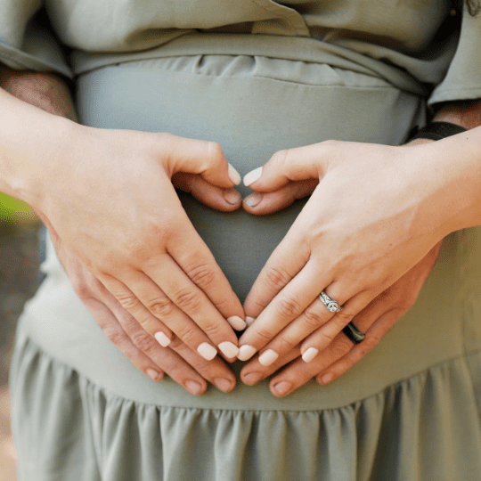 Chicago Maternity Photographer