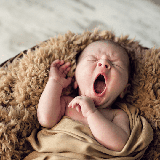 Newborn 3