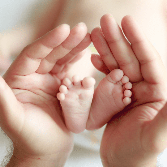 Newborn Photographer Chicago